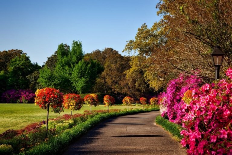 20+ Vibrant Shade Garden Ideas To Spark Color In Dark Corners