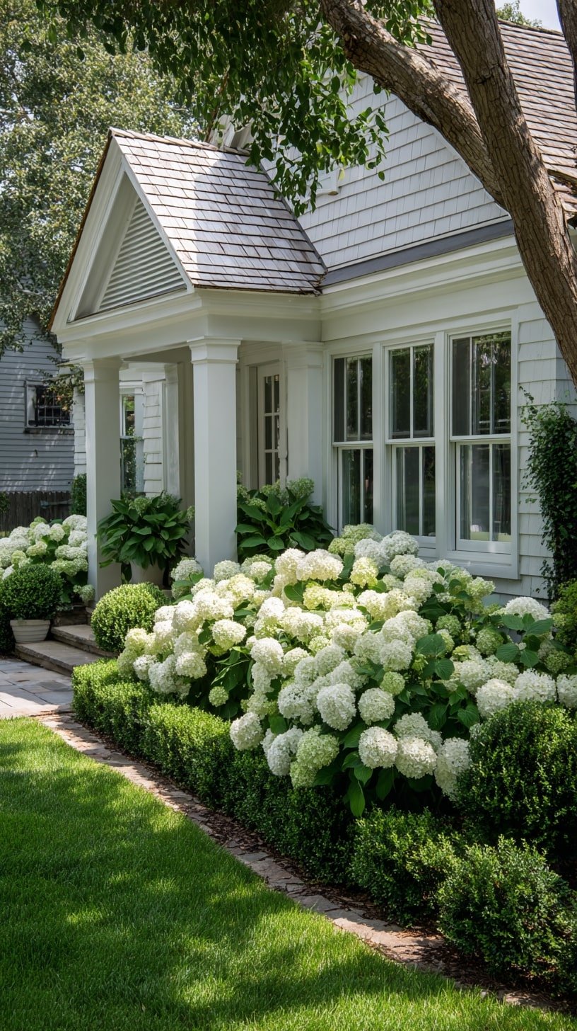 2.Soften a Porch Edge with White Hydrangeas and Evergreen Hedges