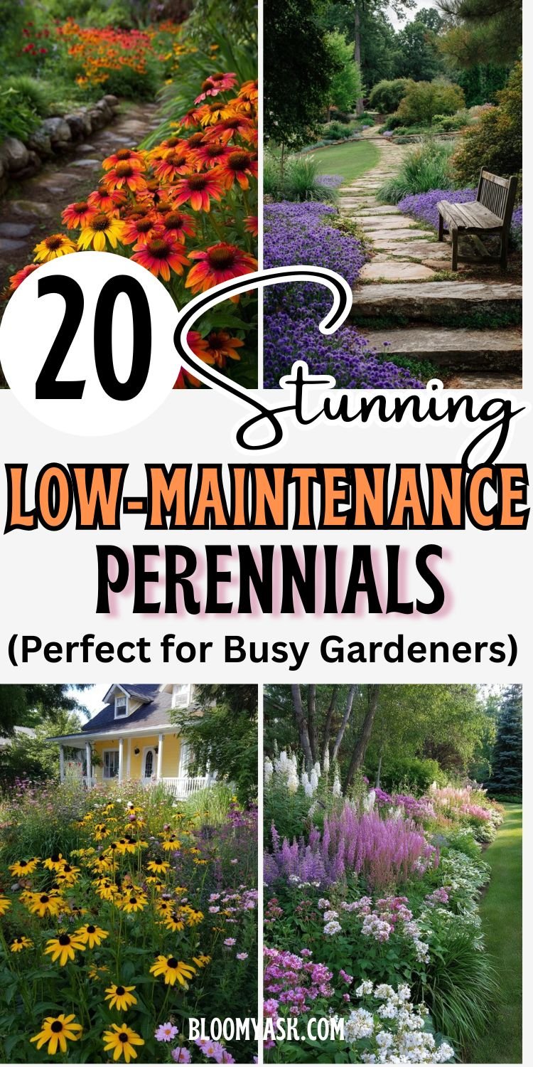 20 Low-Maintenance Perennials (Perfect for Busy Gardeners)
